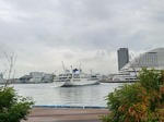 20231110_120441-7829b.JPG