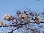 20250325_162604.JPG