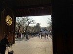 20250326_151420.JPG