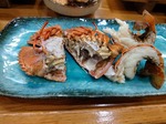 20250420_184550.JPG