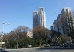 2013-03-06 10.32.44.jpg
