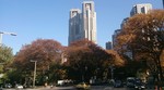 IMG_20131127_155719.jpg